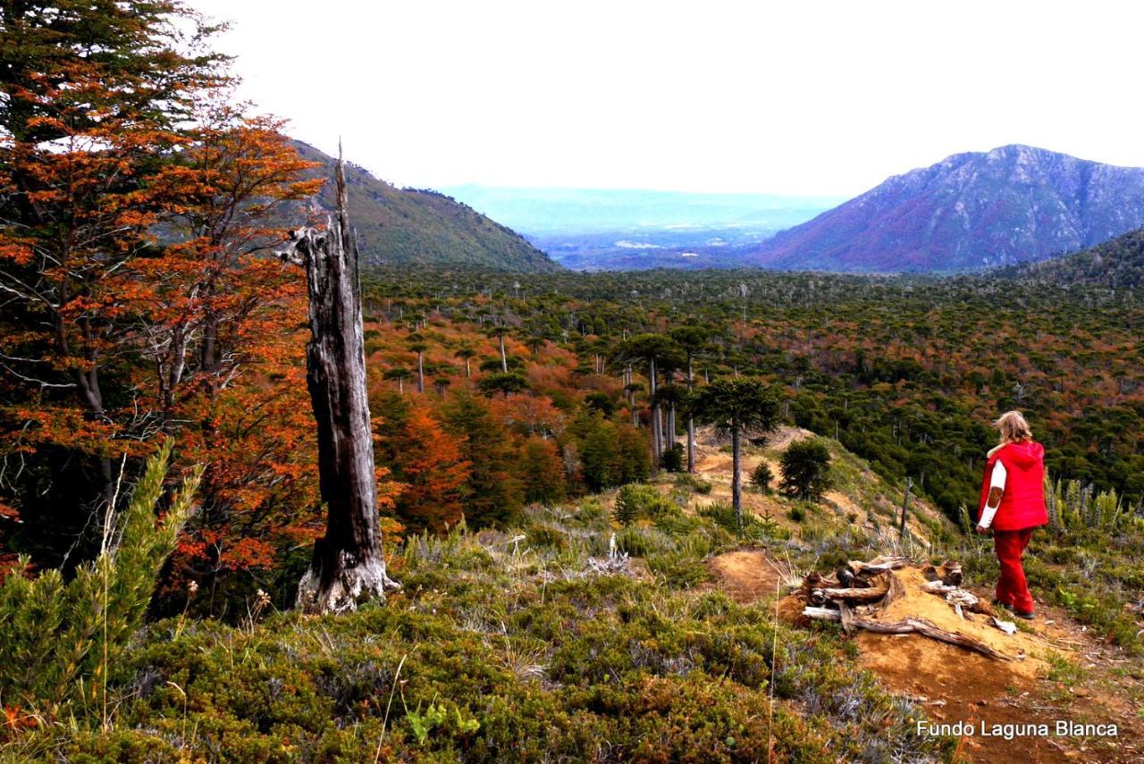 Hotel Lodge Fundo Laguna Blanca กูราเกาติน ภายนอก รูปภาพ